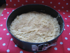 Pour into prepared tin