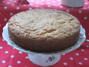 The finished product!