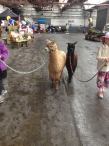 market anniversary 004